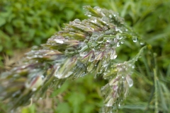 Winnaars Stad en Natuur najaar 2018-16