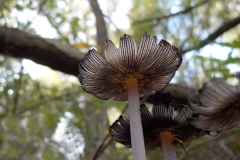 Winnaars Stad en Natuur najaar 2018-18