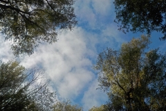 Winnaars Stad en Natuur najaar 2018-21