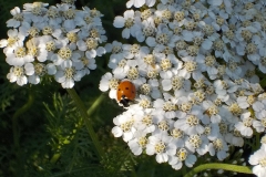 Winnaars-Stad-Natuur-KidzKlix-11