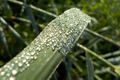 Winnaars-Stad-Natuur-KidzKlix-12