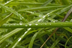 Winnaars-Stad-Natuur-KidzKlix-14