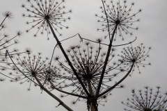 Winnaars-Stad-Natuur-KidzKlix-16