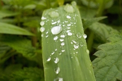 Winnaars-Stad-Natuur-KidzKlix-18