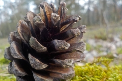 Verschoorschool-KidzKlix-02