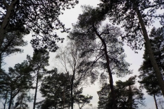 Verschoorschool-KidzKlix-03