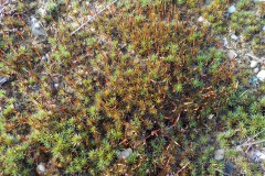 Verschoorschool-KidzKlix-04