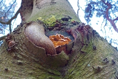 Verschoorschool-KidzKlix-06