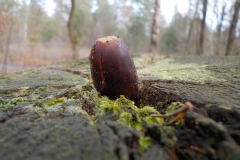 Verschoorschool-KidzKlix-07