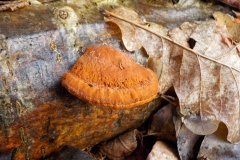 Verschoorschool-KidzKlix-08