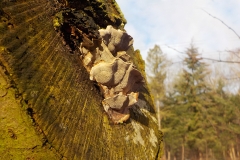 Verschoorschool-KidzKlix-09