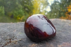 Winnaars-Antonius-Haarlem-KidzKlix-002