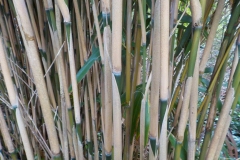 Winnaars-Antonius-Haarlem-KidzKlix-003