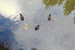 Winnaars-Antonius-Haarlem-KidzKlix-004