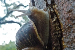 Winnaars-Antonius-Haarlem-KidzKlix-005