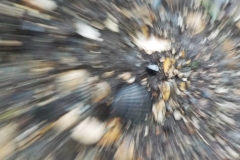 Winnaars-Antonius-Haarlem-KidzKlix-007