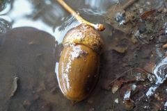 Winnaars-Antonius-Haarlem-KidzKlix-008