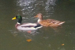 Winnaars-Antonius-Haarlem-KidzKlix-009