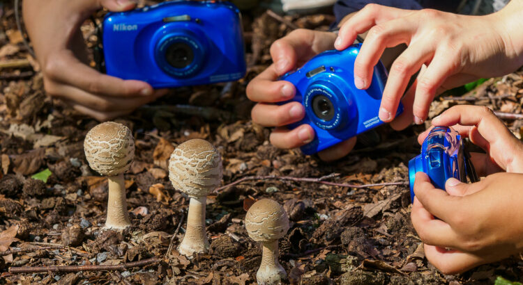 KidzKlix, Dynamica, Bart Fotografie