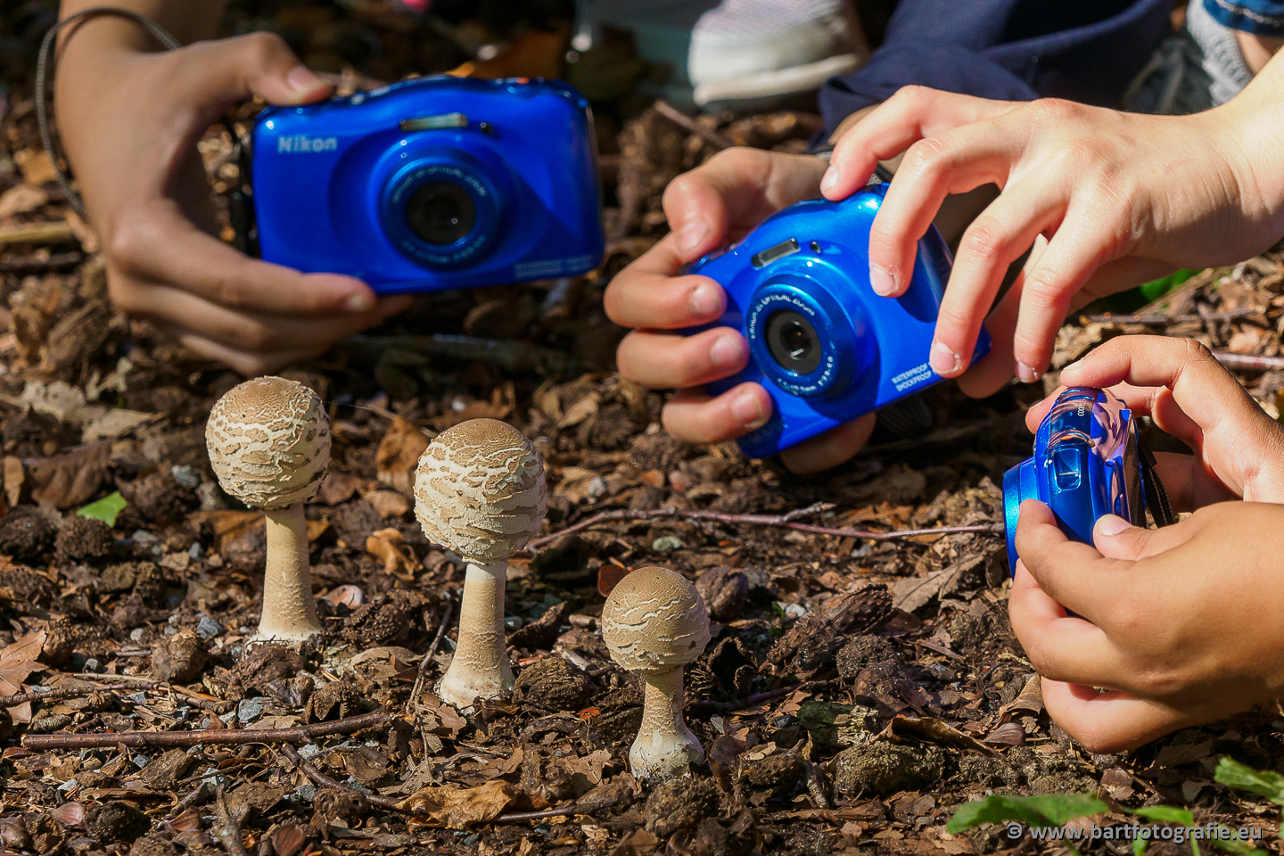 KidzKlix, Dynamica, Bart Fotografie