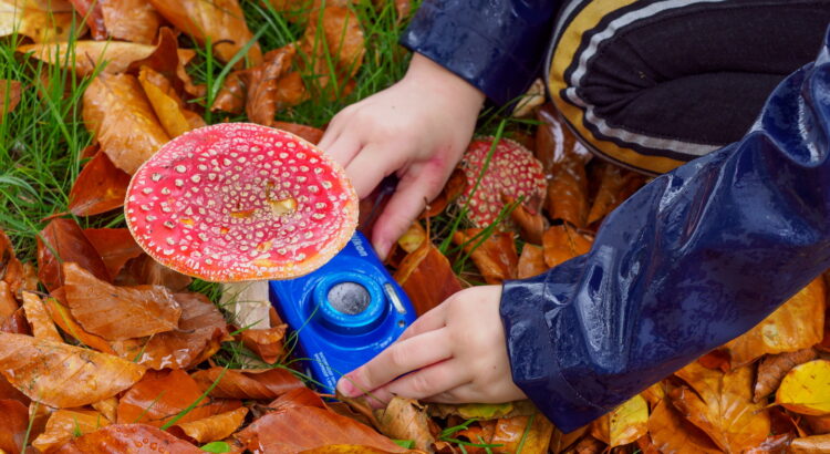 Warande, KidzKlix, Cultuurfonds Flevoland, Bart Fotografie