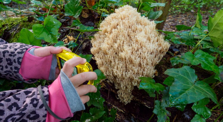 Groen Doen, KidzKlix, Bart Fotografie